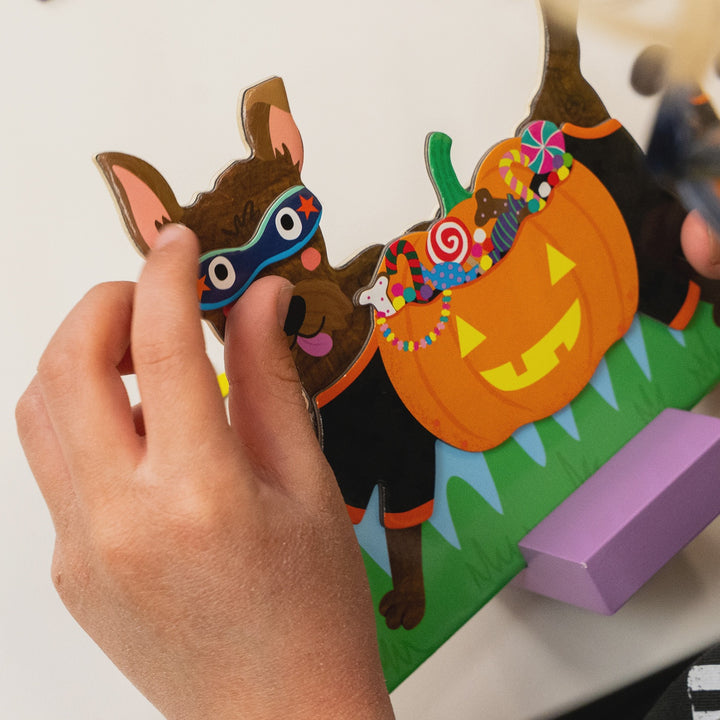 Pets Magnetic Dress Up