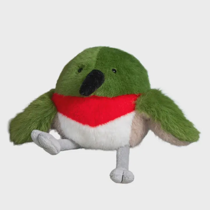 olly Hummingbird