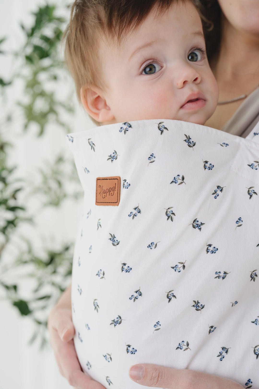 Blueberry Revolution Carrier