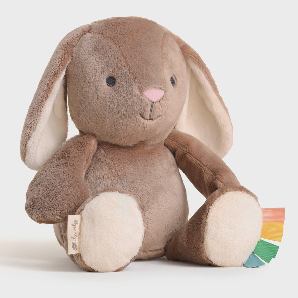 Bunny Sweetie Snuggles