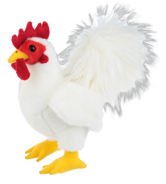 Heritage Chicken