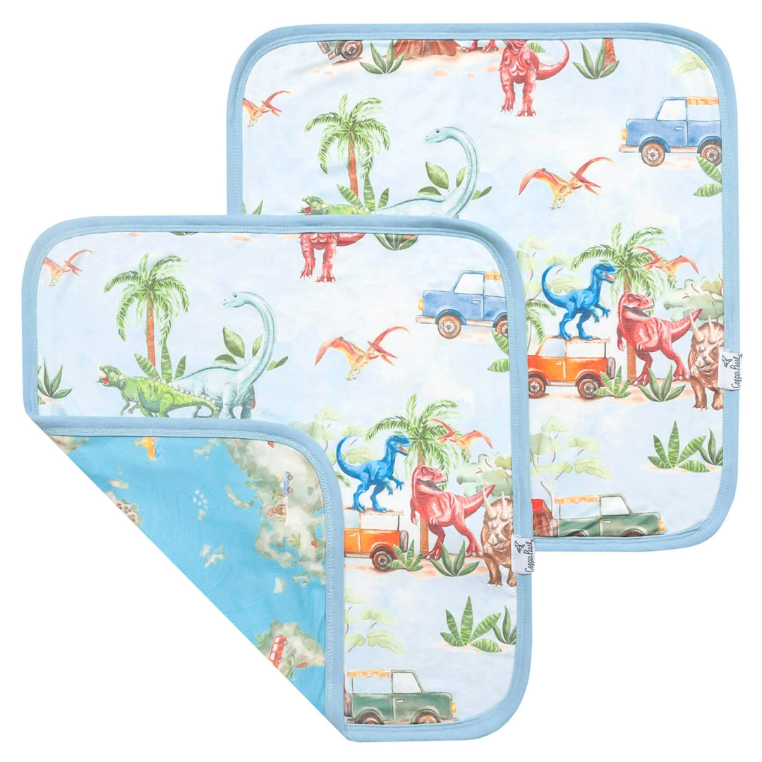 Dino Explorer Security Blanket Set